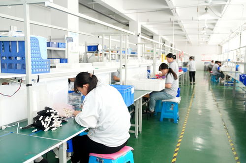 濰坊綜合保稅區 深化金融服務創新，無形資產變“真金白銀”，技術服務助力企業發展